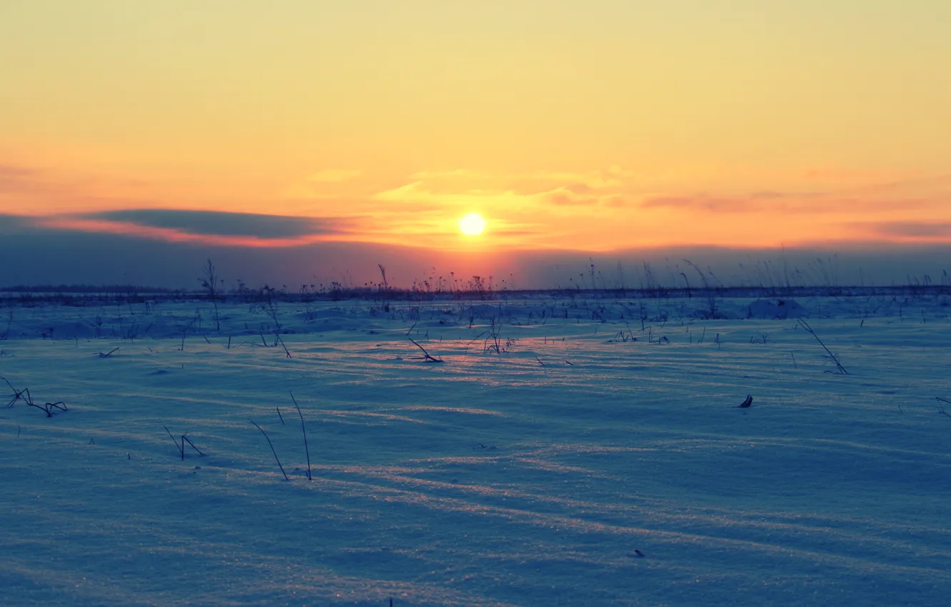 Photo wallpaper winter, field, the sun, sunset