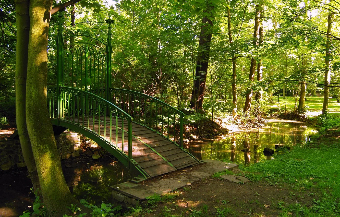 Photo wallpaper trees, bridge, nature, Park, photo, Czech Republic, Teplice
