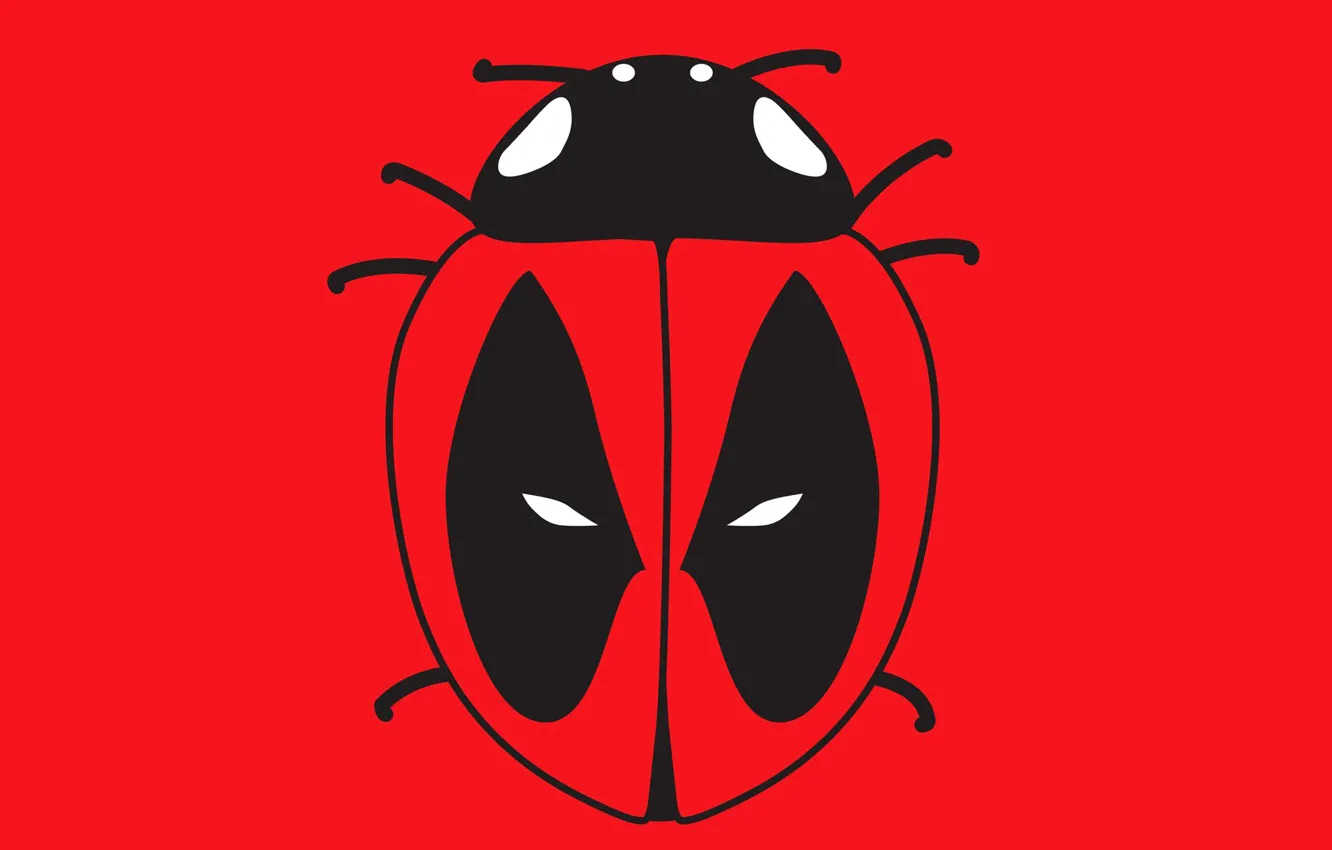 Photo wallpaper nature, ladybug, contour, insect