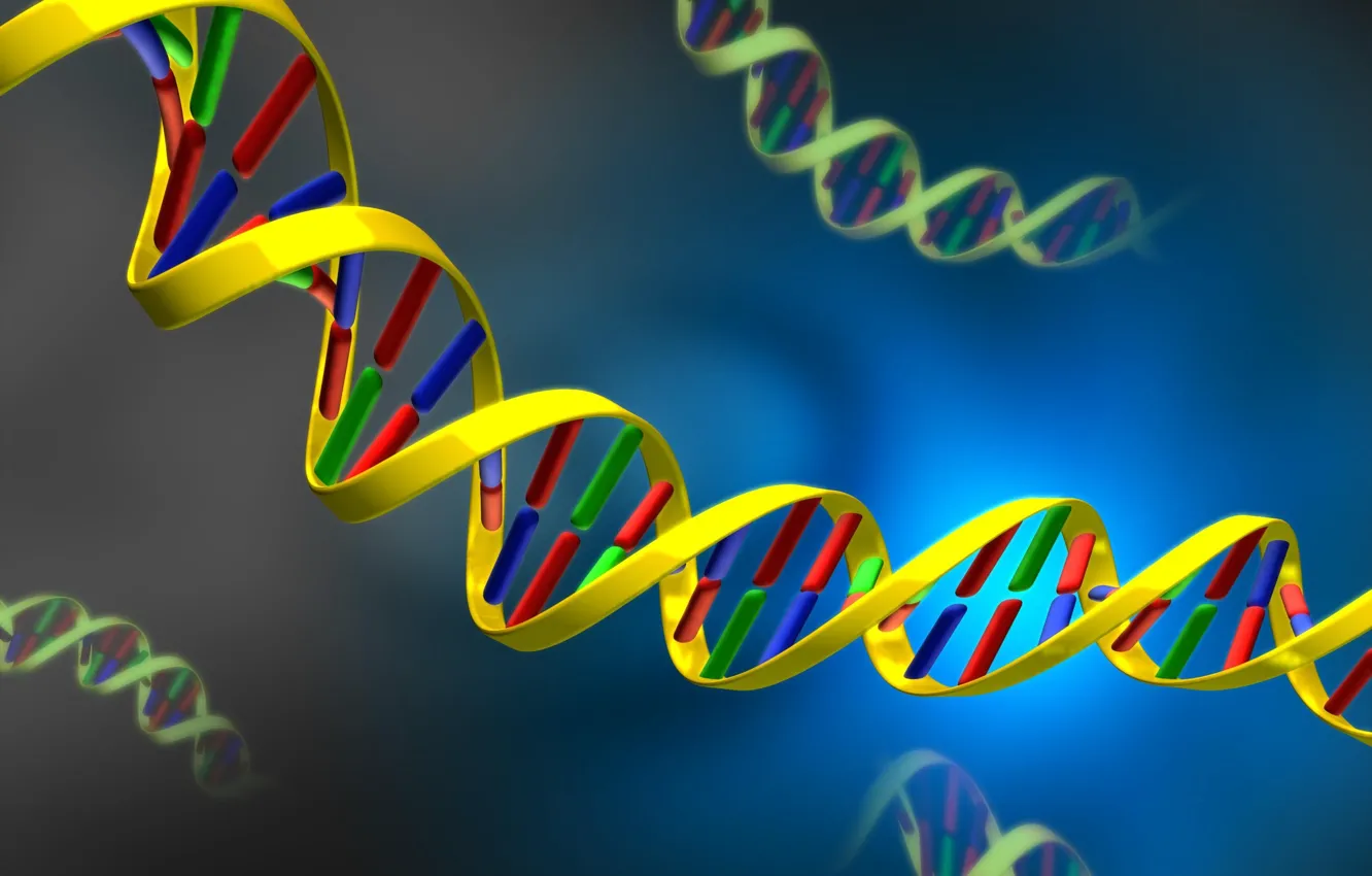 Photo wallpaper DNA, nucleic, acid, DNA
