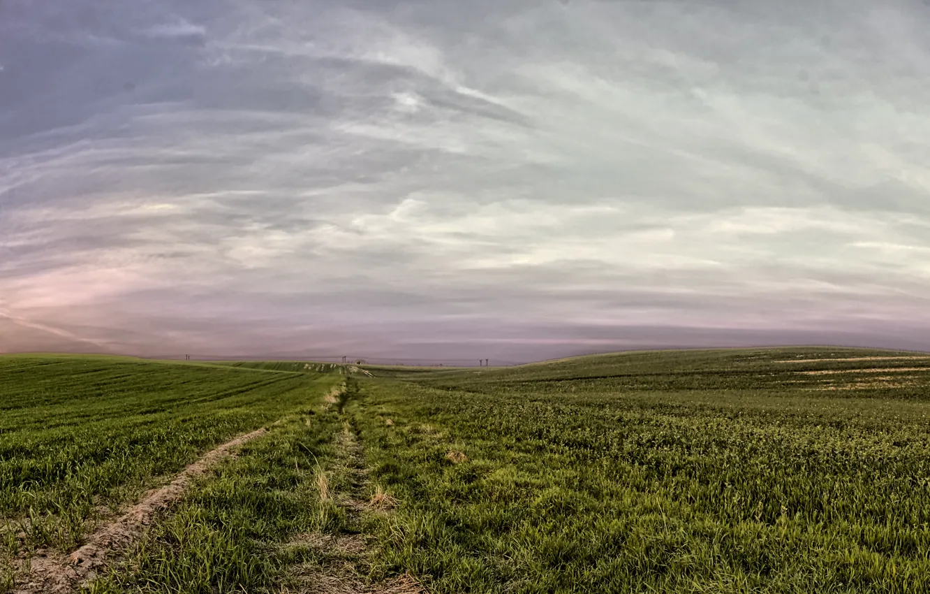 Photo wallpaper field, the sky, nature, April, sky, field, nature, April