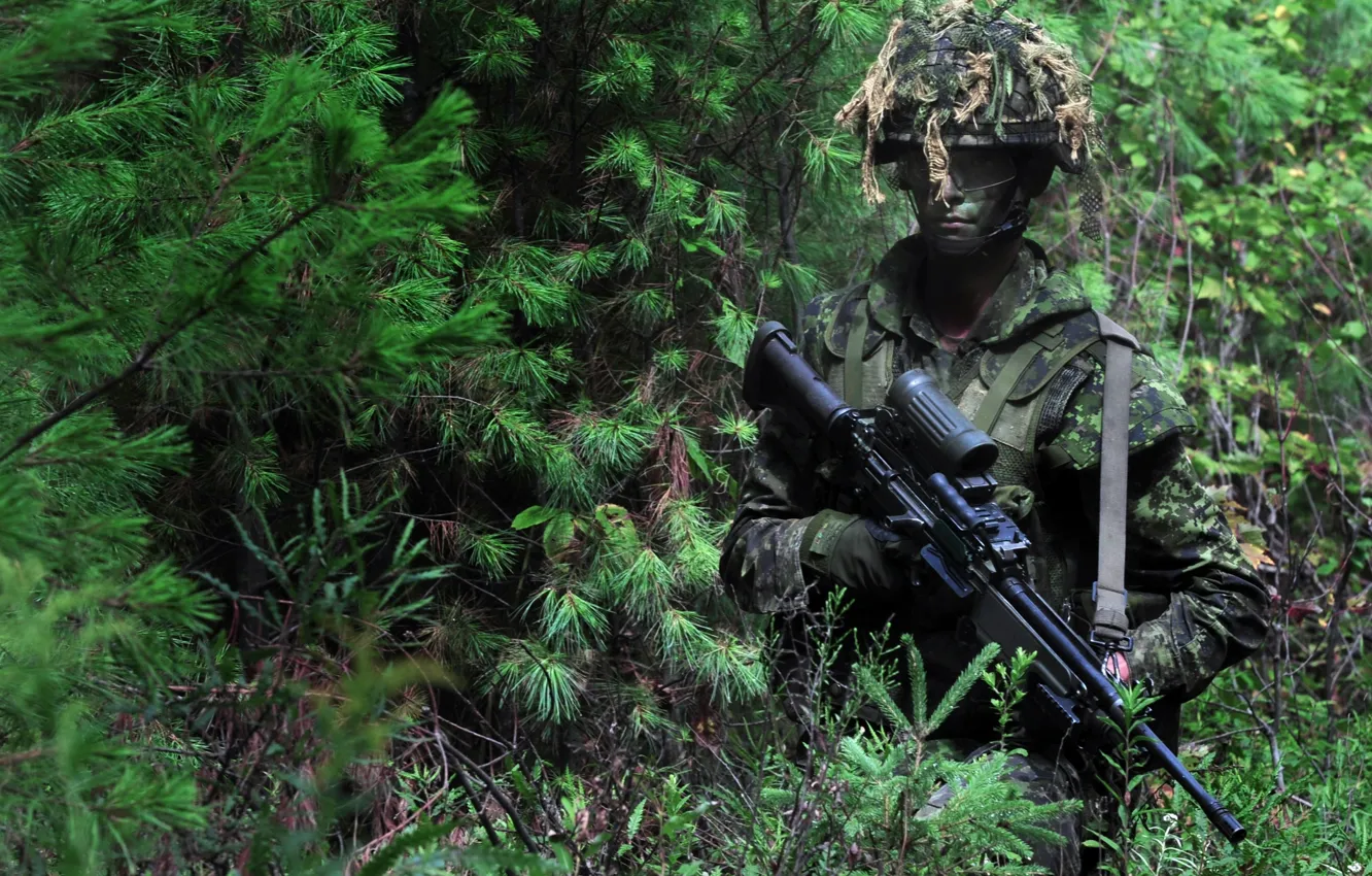 Photo wallpaper gun, forest, soldier, weapon, man, sniper, rifle, US Army