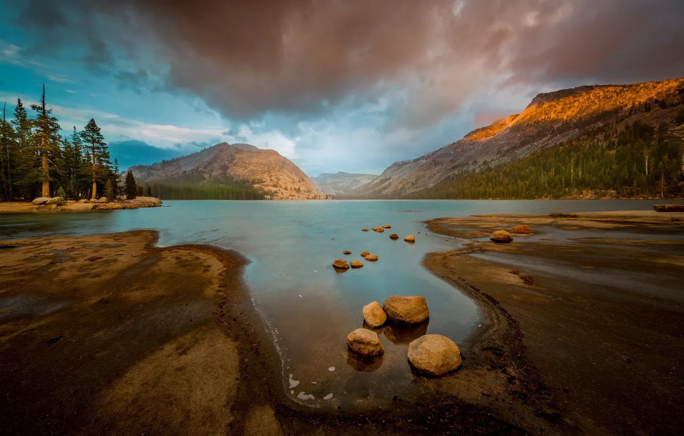 Photo wallpaper forest, Yosemite, mountain, dusk, Tenaya Lake