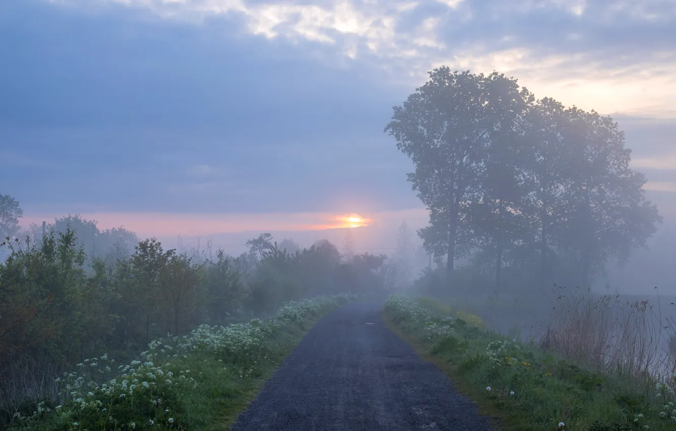 Photo wallpaper road, the sky, grass, the sun, clouds, light, trees, flowers
