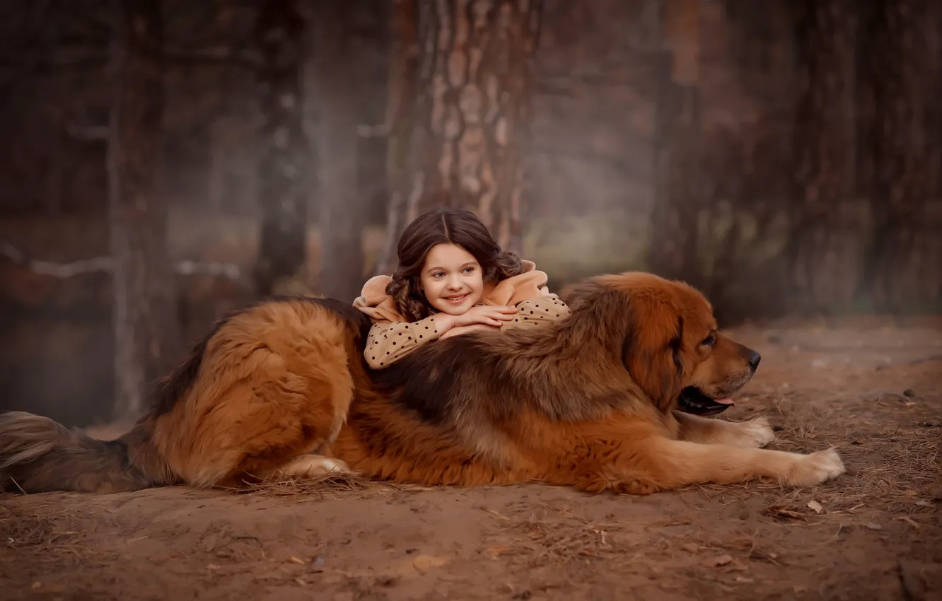 Photo wallpaper forest, dog, girl, friends, dog, Tibetan Mastiff, Valentine Ermilova