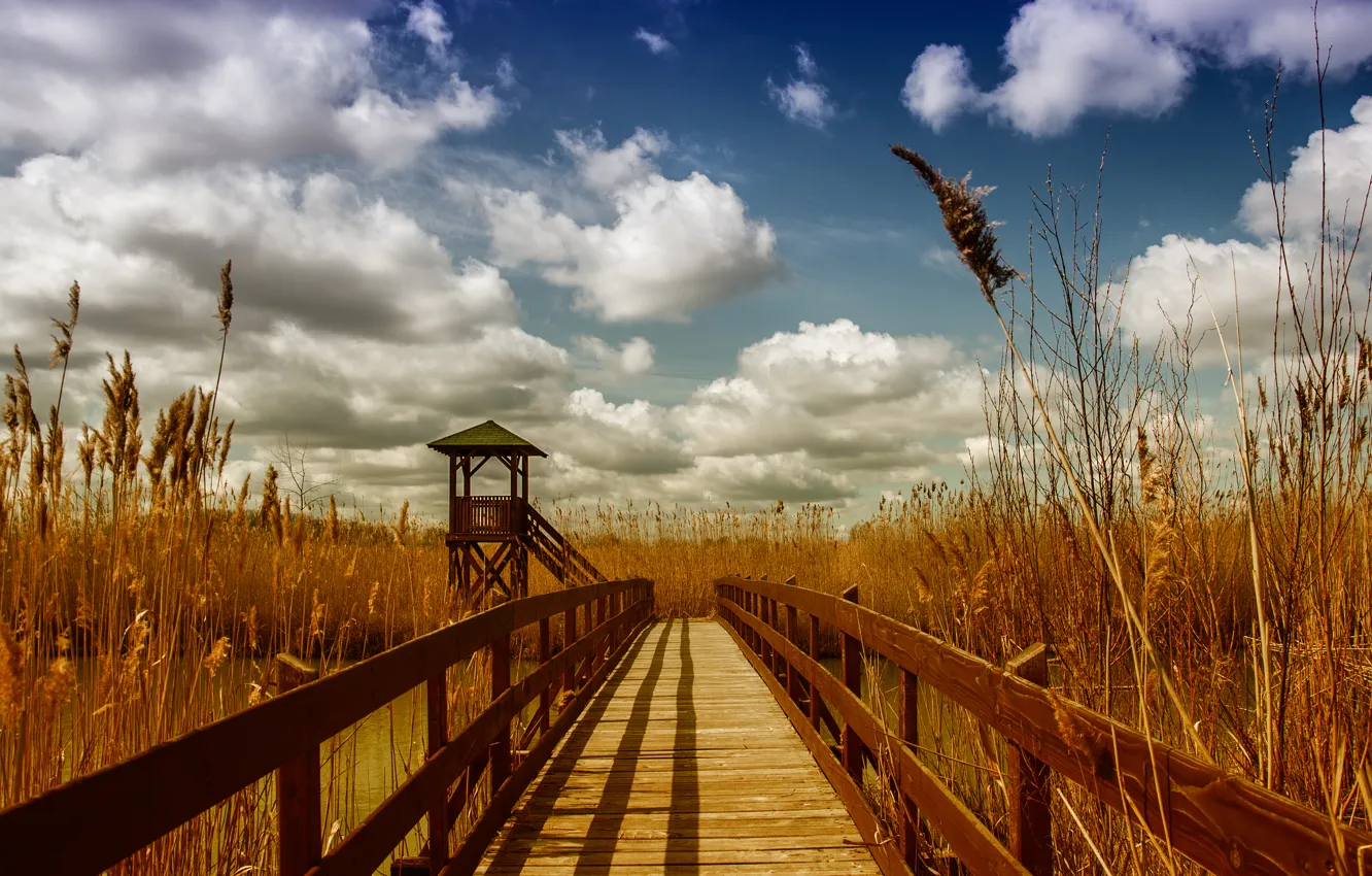 Photo wallpaper the sky, clouds, bridge, river, spring, ears, gazebo