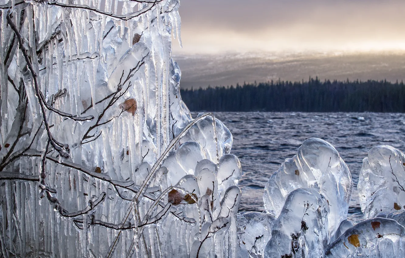 Photo wallpaper ice, forest, the sky, leaves, clouds, river, the bushes