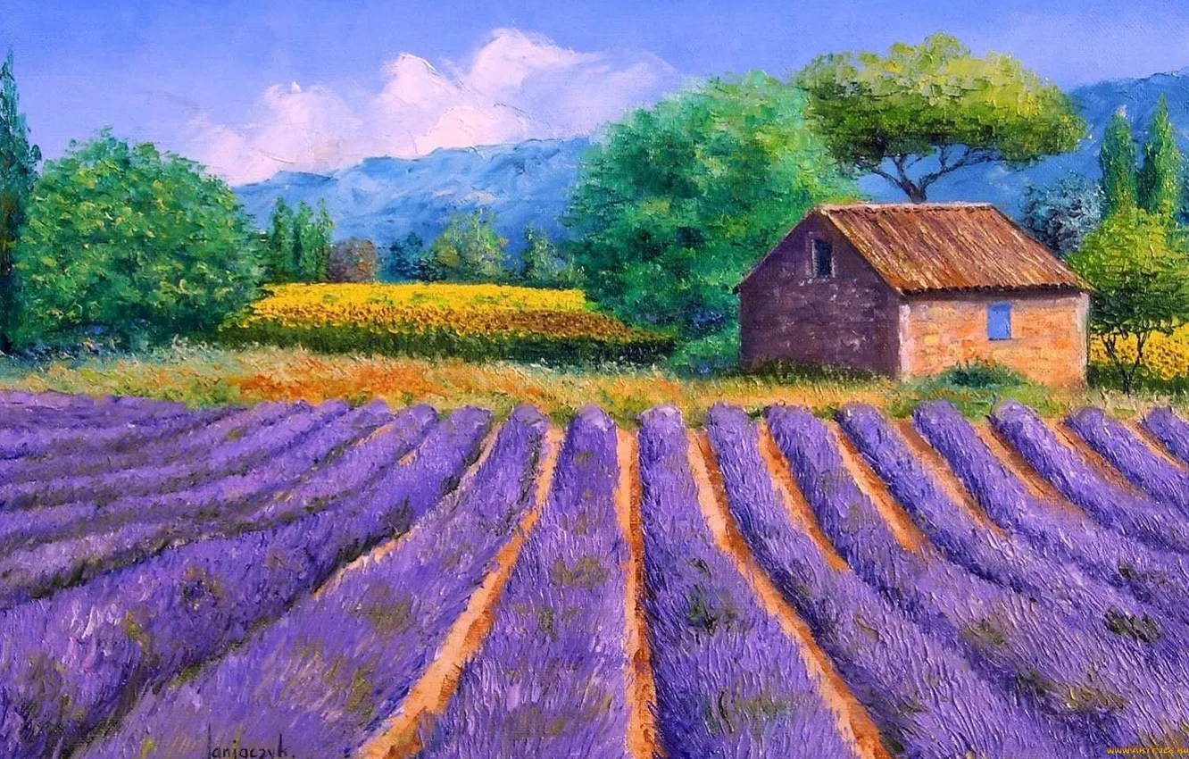 Photo wallpaper artist, house, lavender, impressionist, jean marc janiaczyk, artyu field