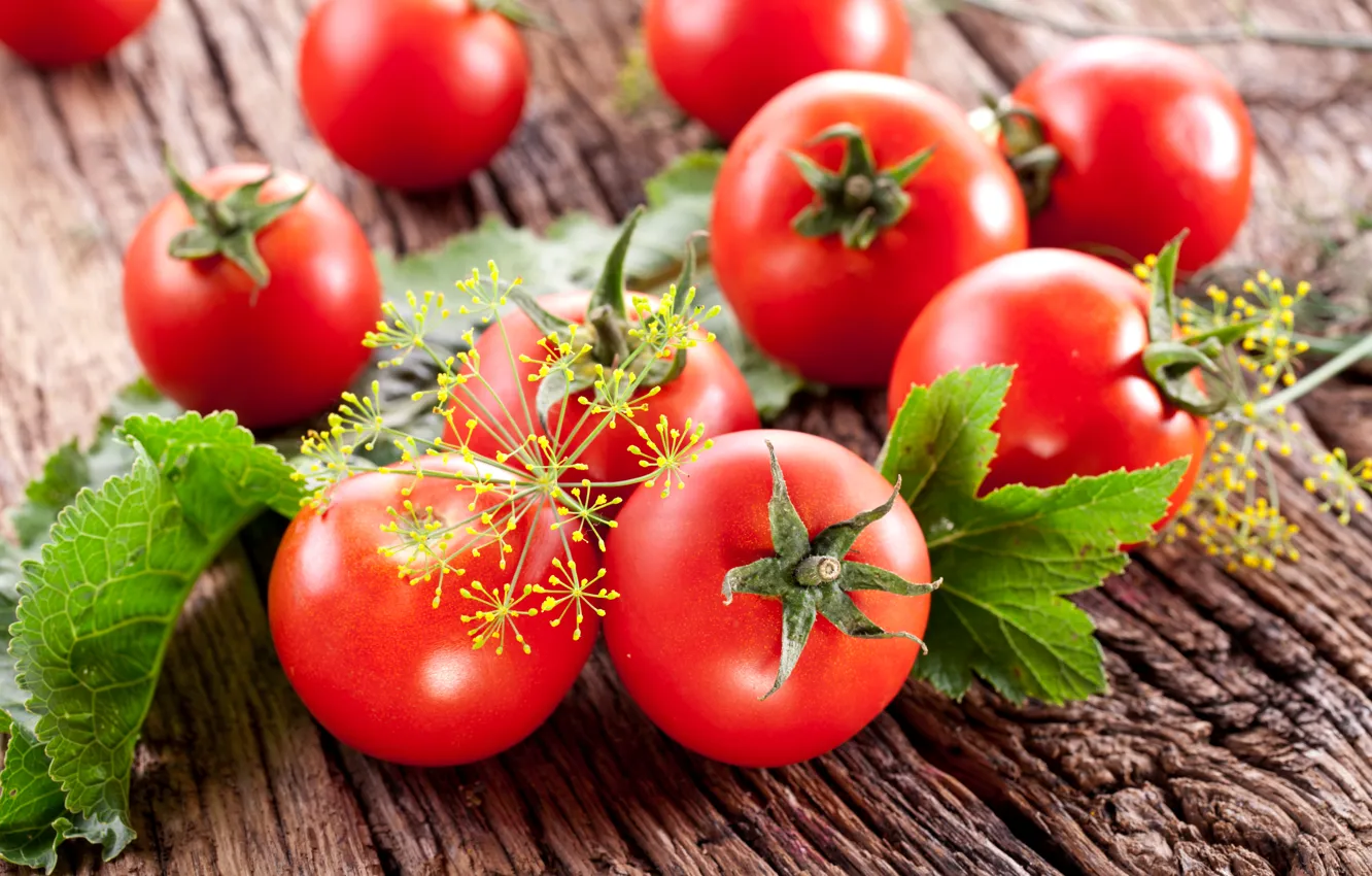 Photo wallpaper food, dill, vegetables, tomatoes