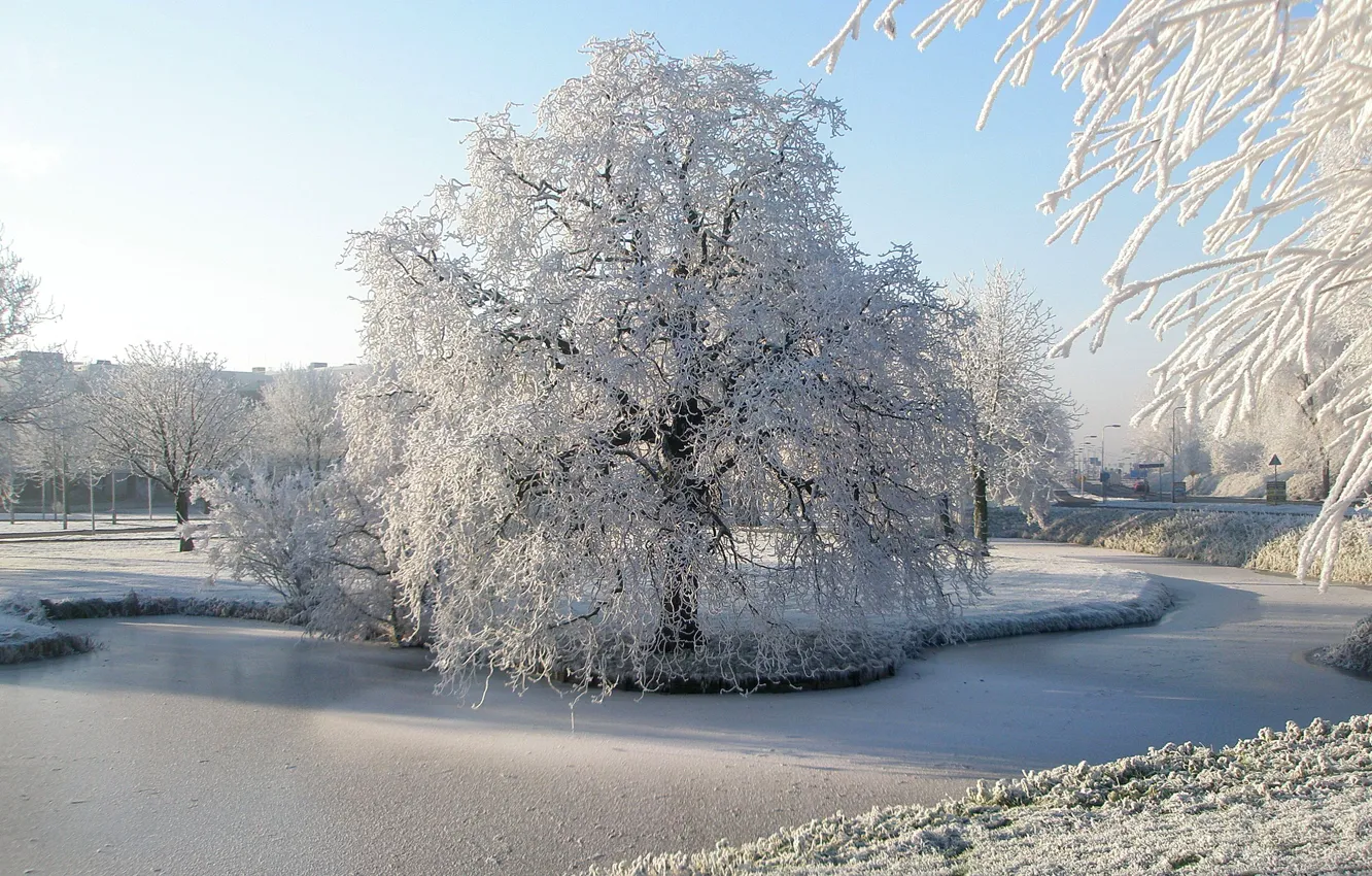 Photo wallpaper winter, frost, snow, trees, Park, river, Nature