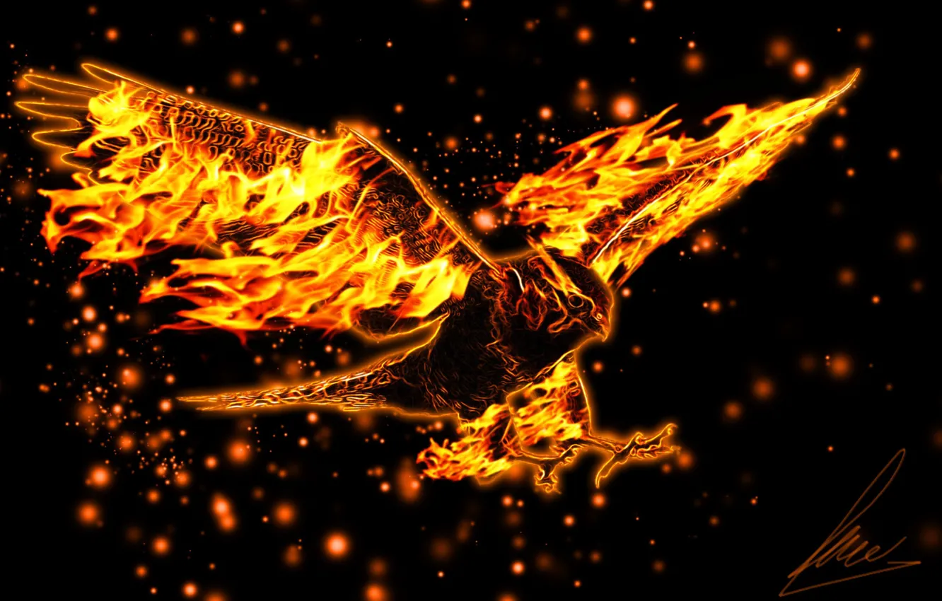 Photo wallpaper flight, lights, flame, bird, wings, sparks