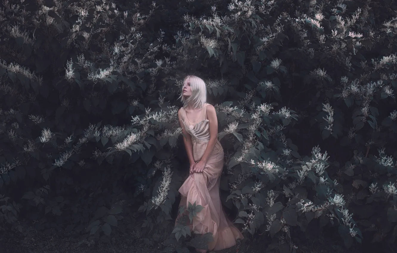 Photo wallpaper leaves, dress, girl, Aleah Michele, The white bone of my frame