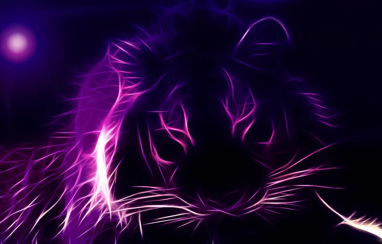 Photo wallpaper face, tiger, 3D Graphics