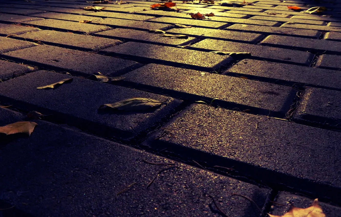 Photo wallpaper road, autumn, the city, Park