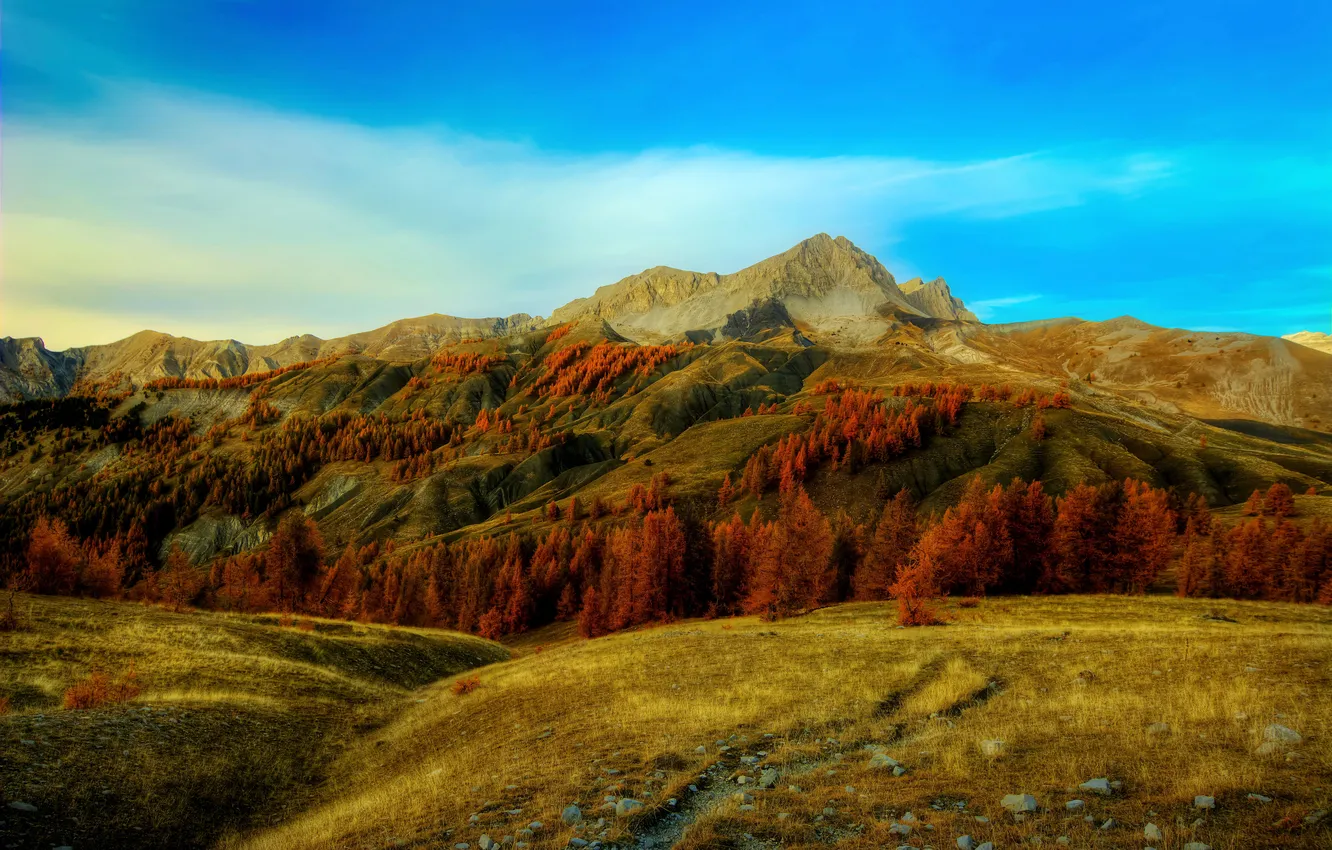 Photo wallpaper autumn, grass, trees, mountains, stones, France, Alps