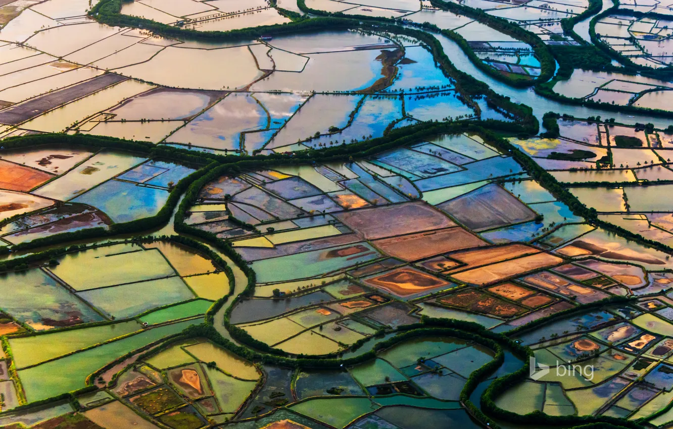 Photo wallpaper field, trees, river, Indonesia, channel, put, plot, South Sulawesi