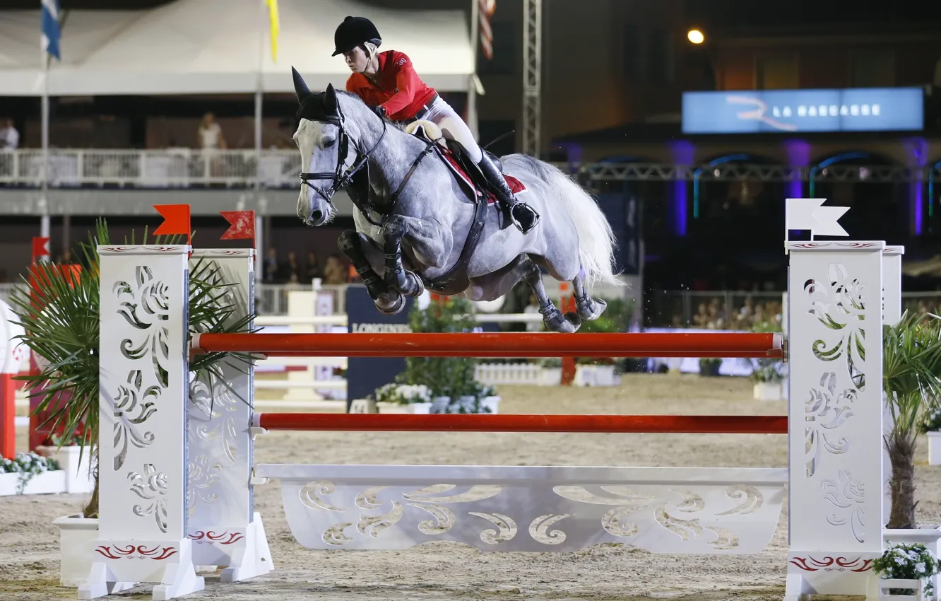 Photo wallpaper horse riding, show jumping, edwina tops-alexander