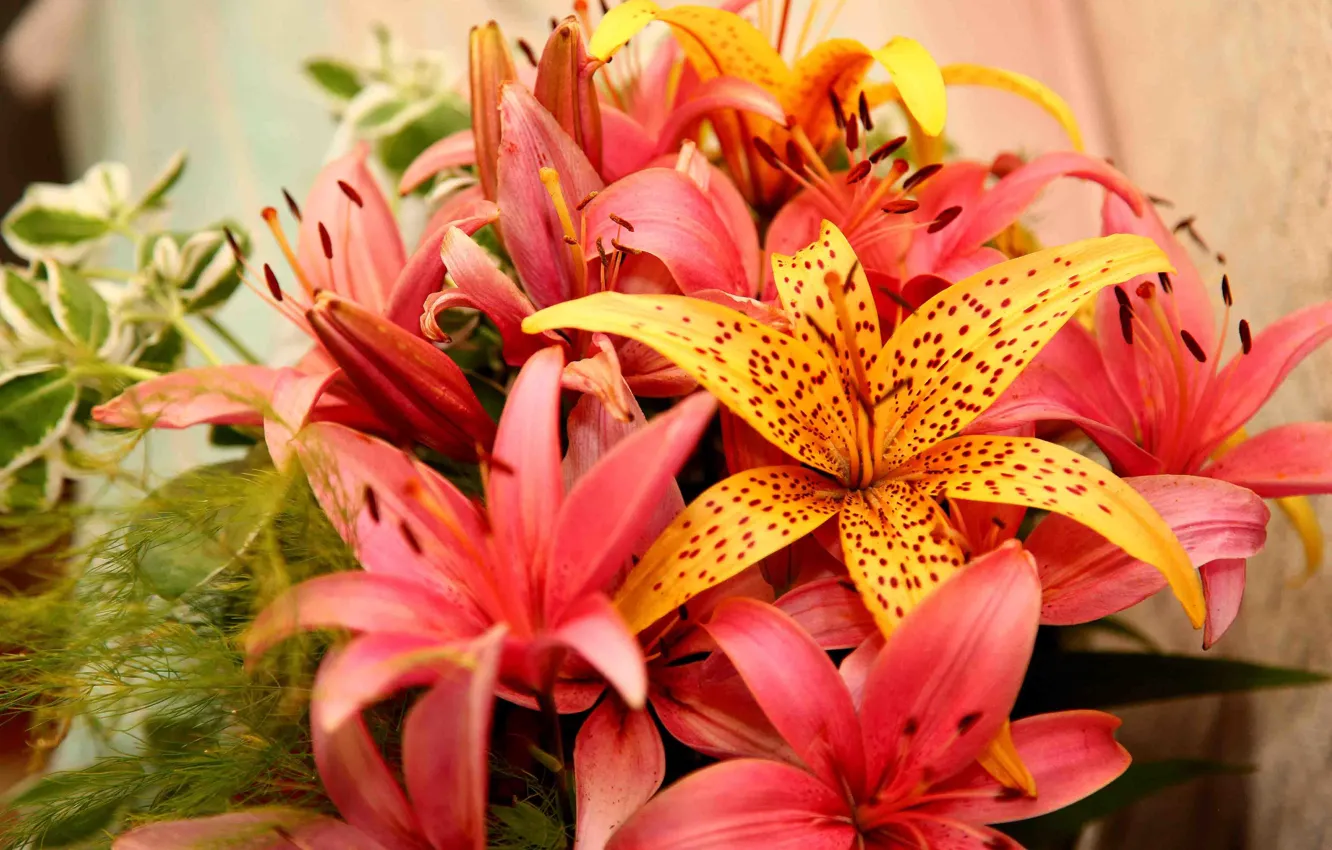 Photo wallpaper flowers, Lily, bouquet