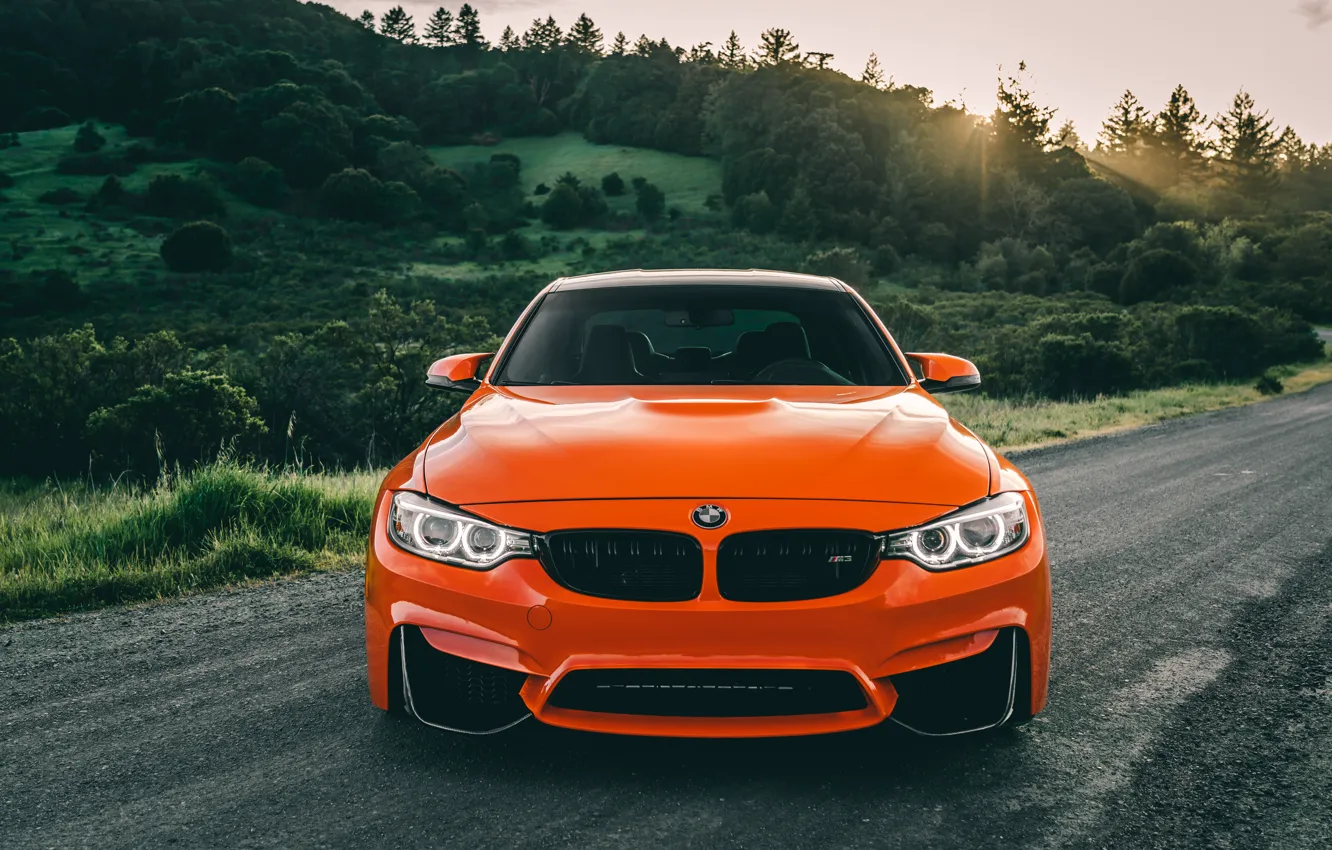 Photo wallpaper BMW, orange, Forest, f80, m3