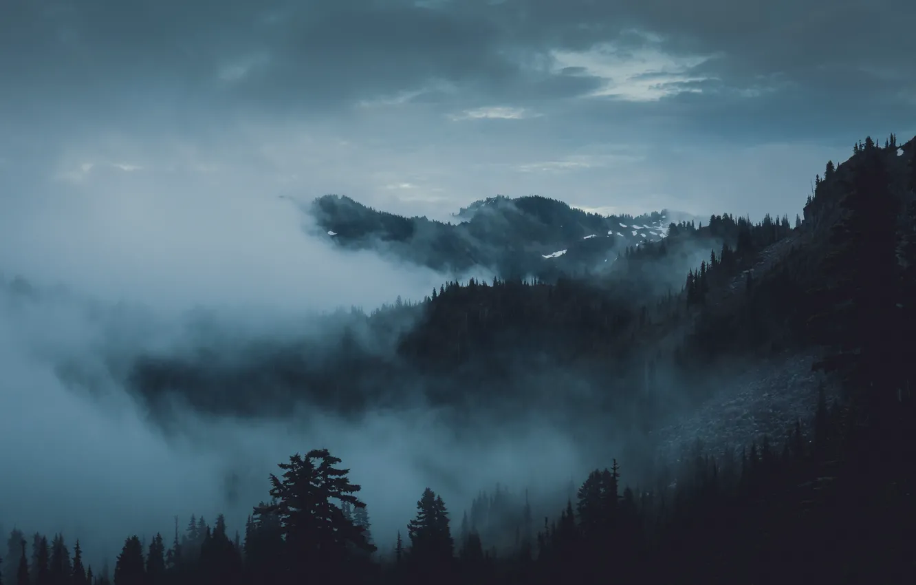 Photo wallpaper forest, the sky, trees, mountains, nature, fog