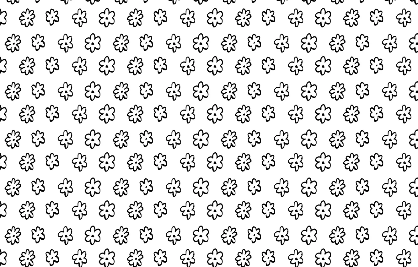 Photo wallpaper white, flowers, background, texture