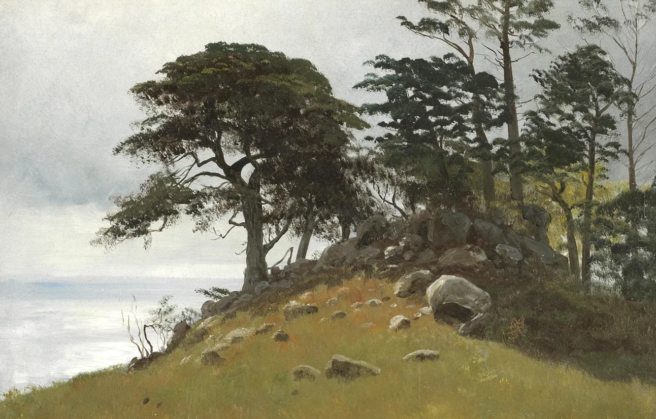 Photo wallpaper trees, landscape, stones, picture, Albert Bierstadt, Cypress Point. Monterey