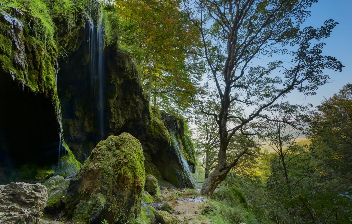 Photo wallpaper trees, nature, stones, waterfall, moss, Alexander Sandev, landscape rock