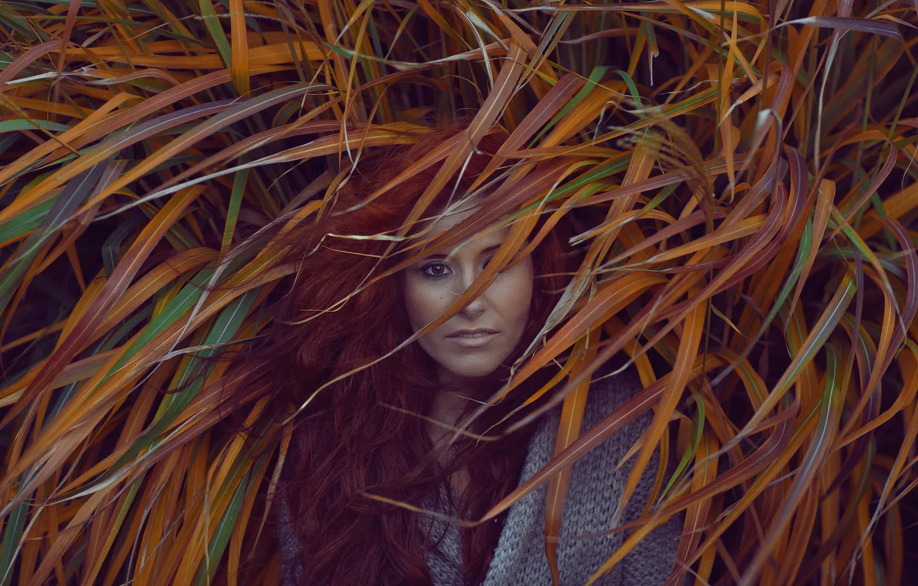 Photo wallpaper look, girl, nature, face, hair