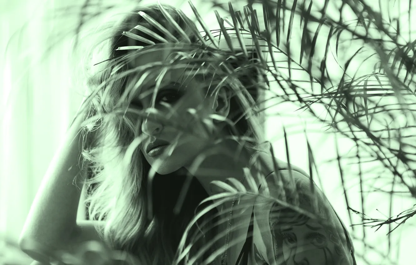 Photo wallpaper look, girl, face, background, hair