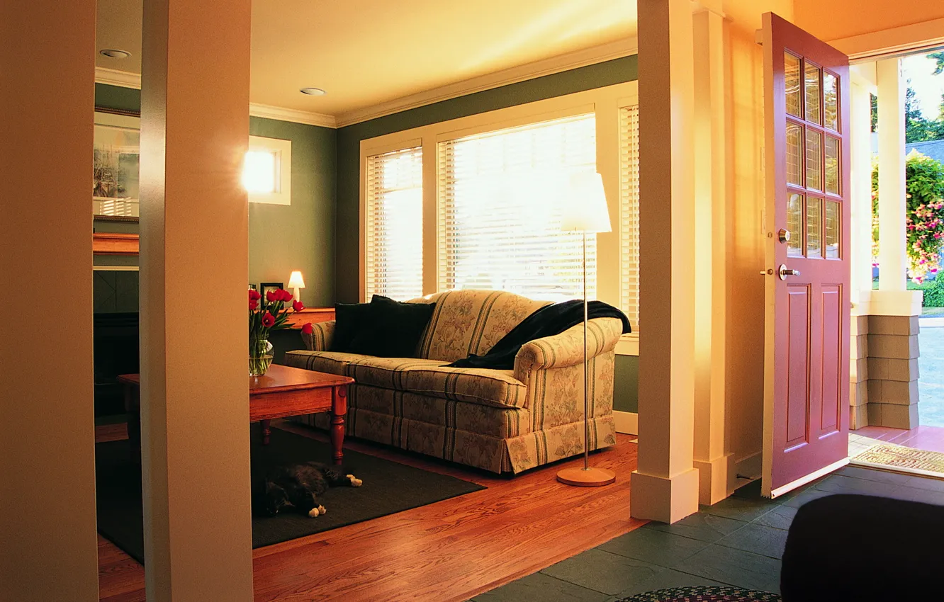 Photo wallpaper cat, sofa, floor lamp, living room