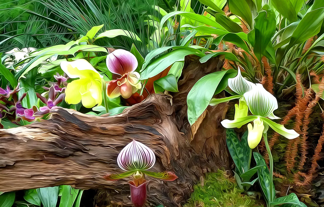 Photo wallpaper leaves, line, flowers, nature, paint