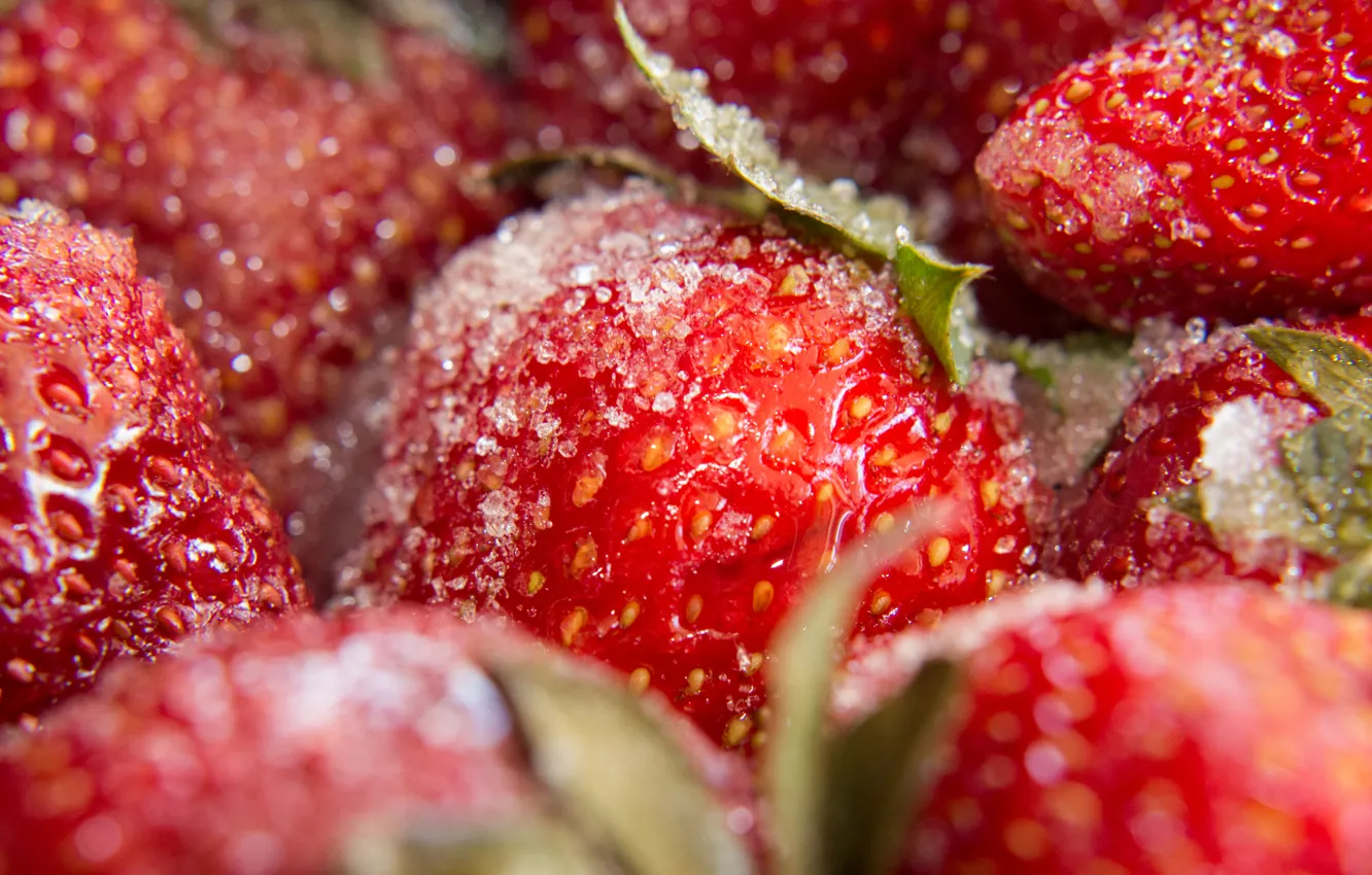 Photo wallpaper berries, food, strawberry, sugar, Wallpaper from lolita777