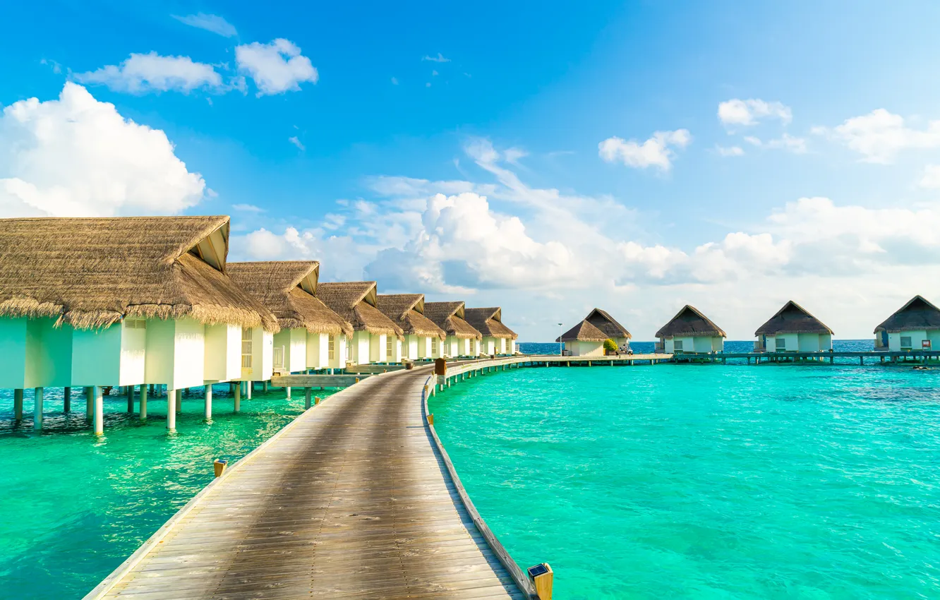 Photo wallpaper sand, sea, beach, summer, the sky, palm trees, summer, beach