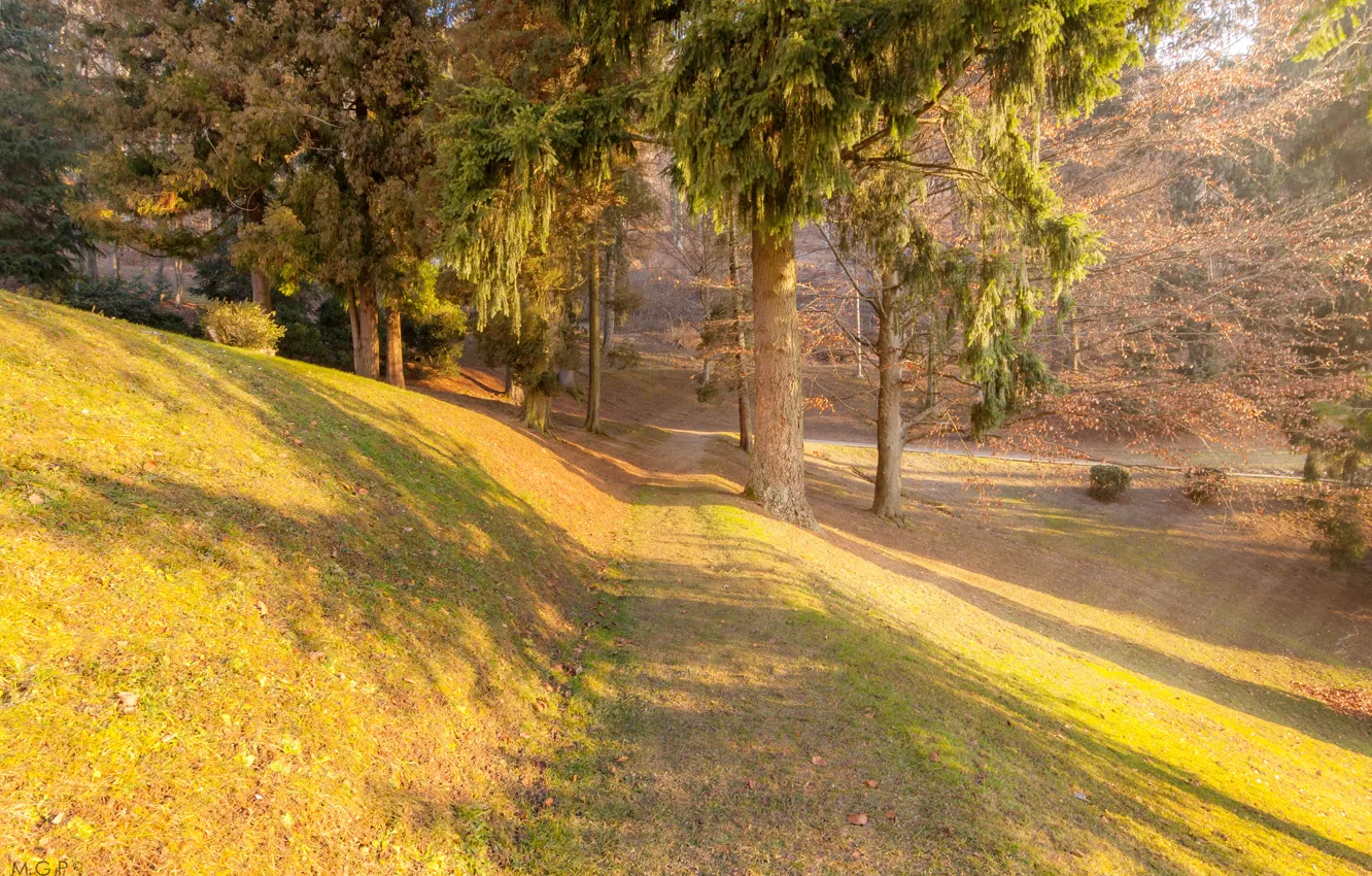 Photo wallpaper road, autumn, trees, Slovenia, Krainburg, Kranj, Kranj