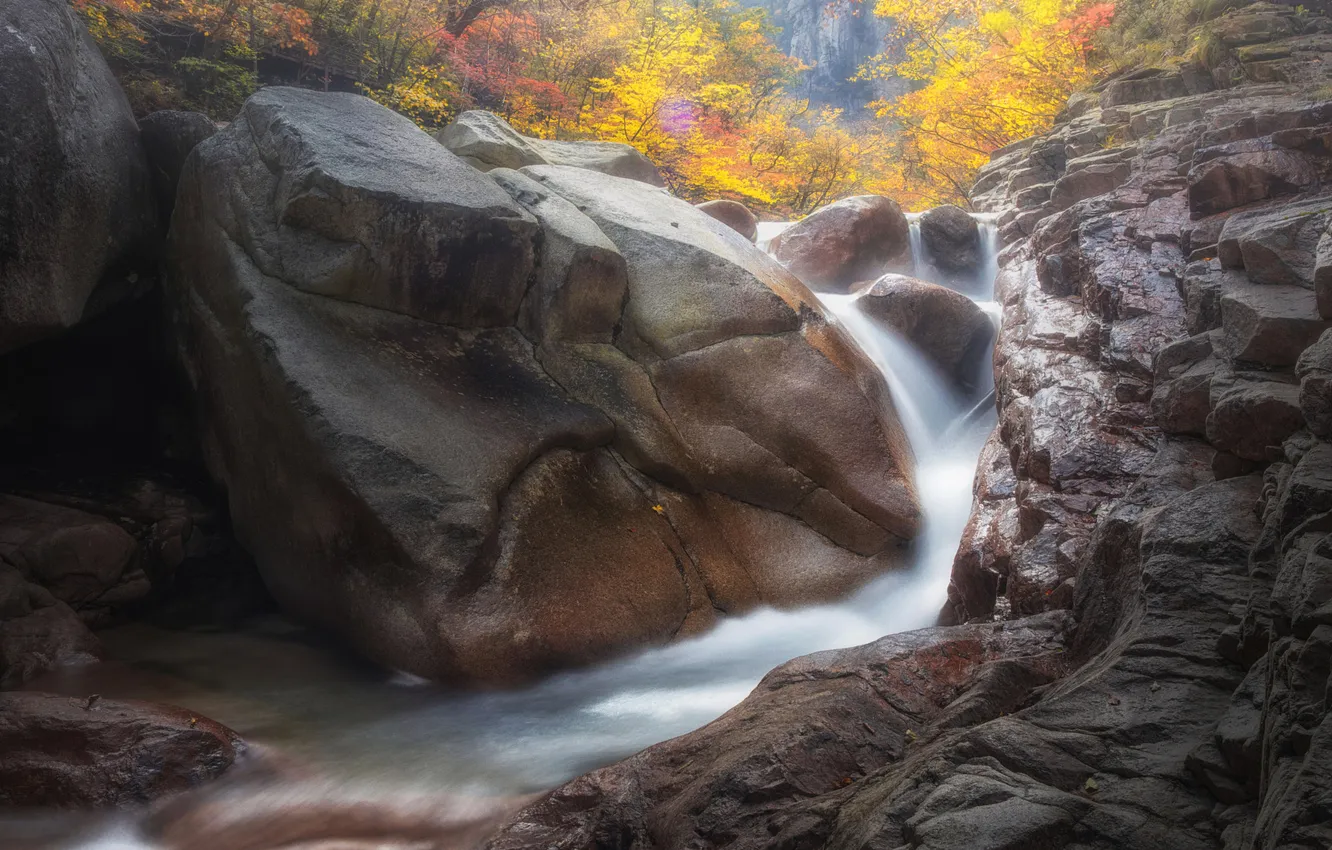 Photo wallpaper autumn, forest, nature, stones, rocks, for, waterfall, stream