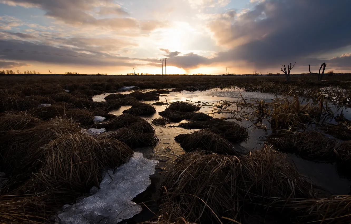 Photo wallpaper field, landscape, sunset