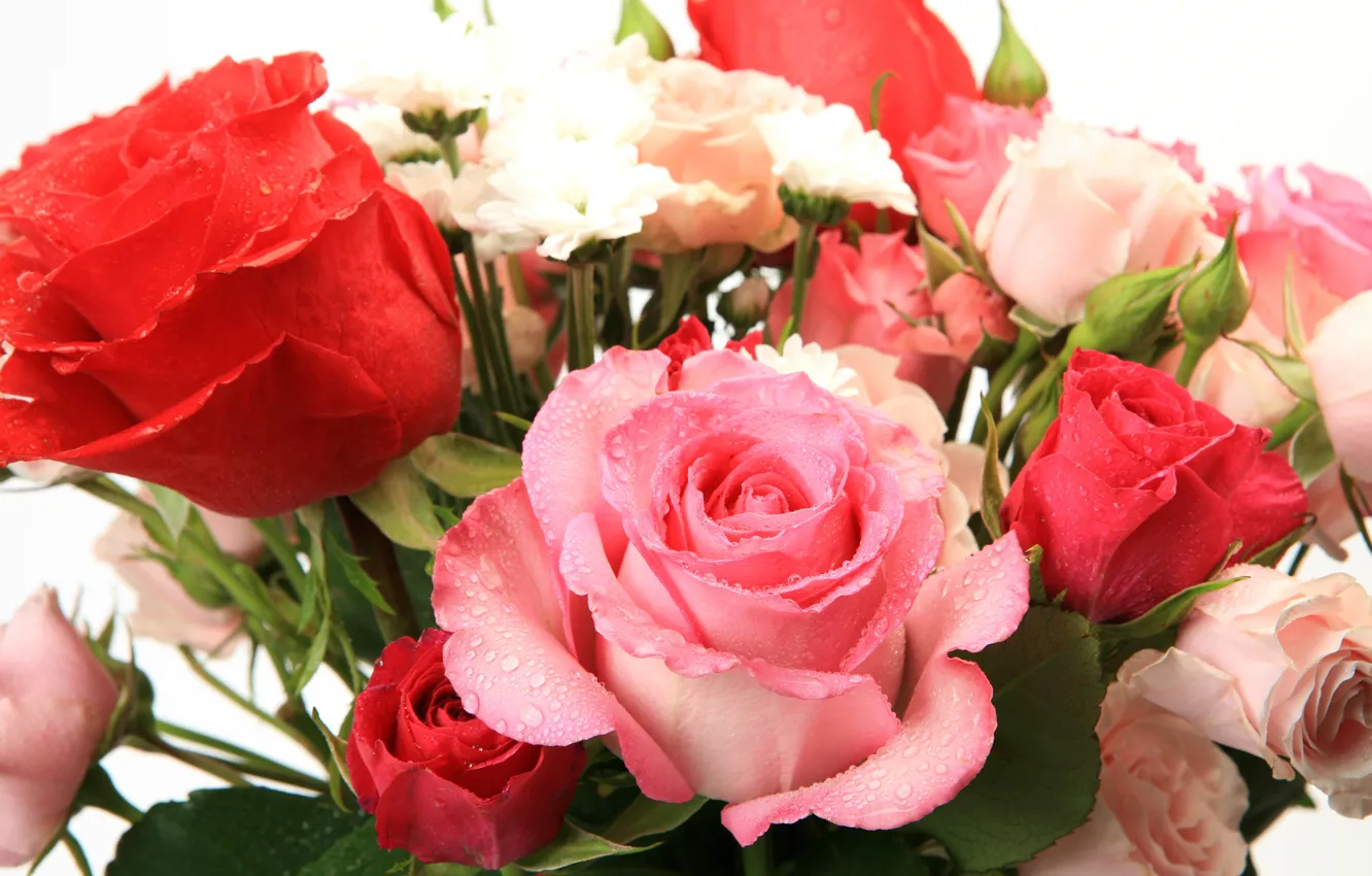 Photo wallpaper flowers, beautiful, flowers, beautiful, Bouquet of roses, Bouquet of roses