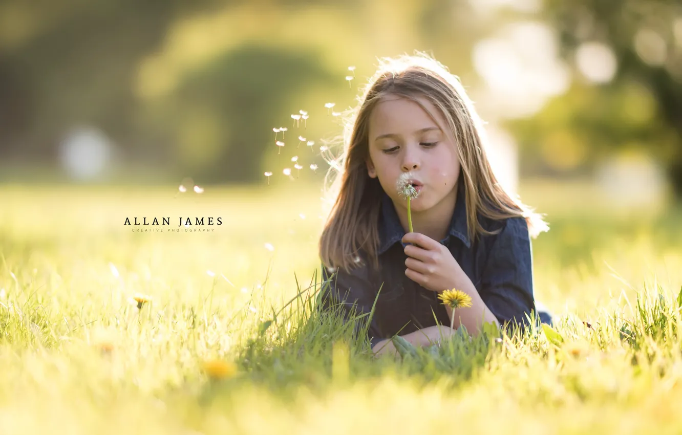 Photo wallpaper summer, dandelion, girl