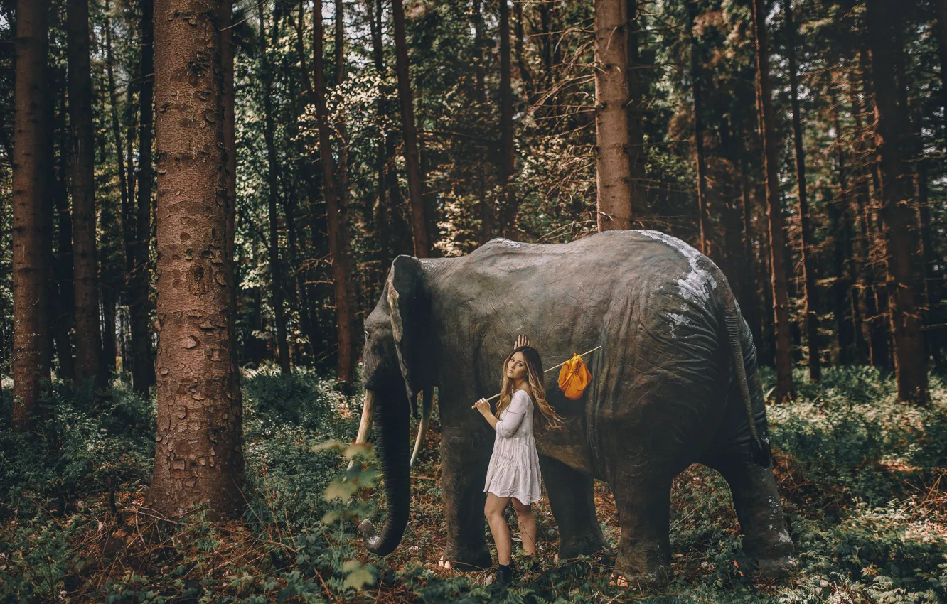 Photo wallpaper forest, girl, elephant