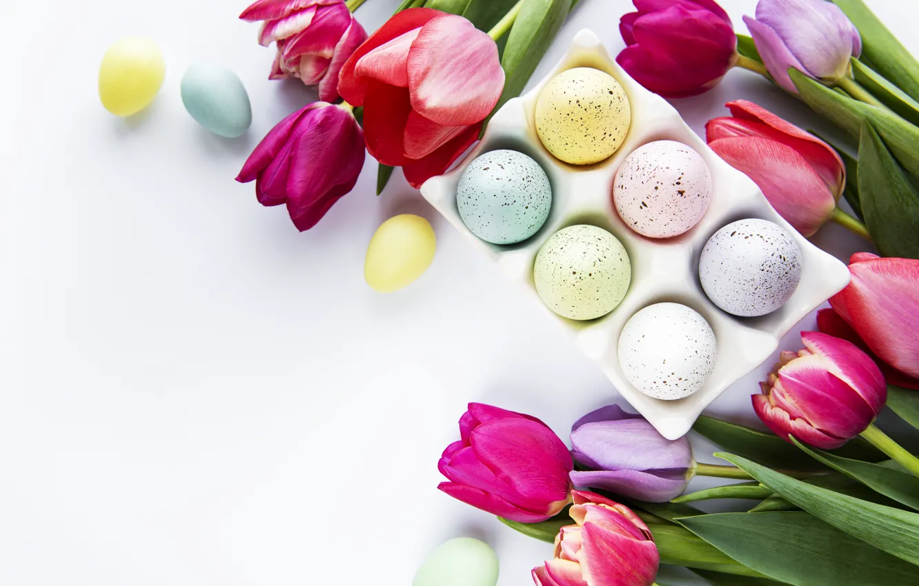 Photo wallpaper flowers, eggs, spring, colorful, Easter, tulips, pink, flowers