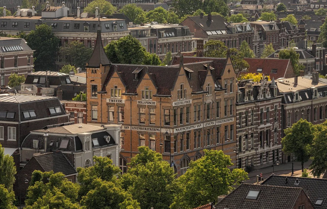 Photo wallpaper street, building, Amsterdam, Netherlands