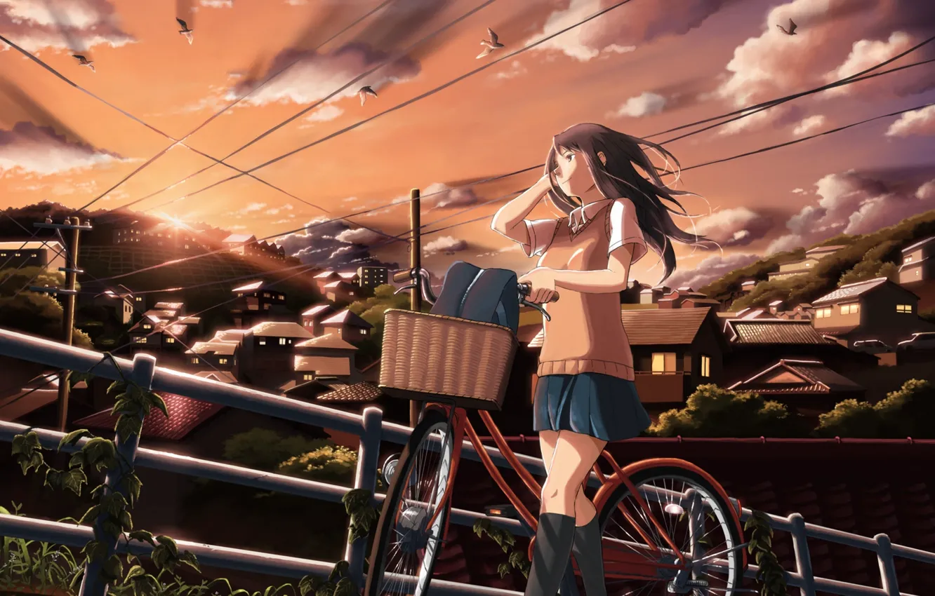 Photo wallpaper the sky, girl, clouds, sunset, birds, bike, the city, home