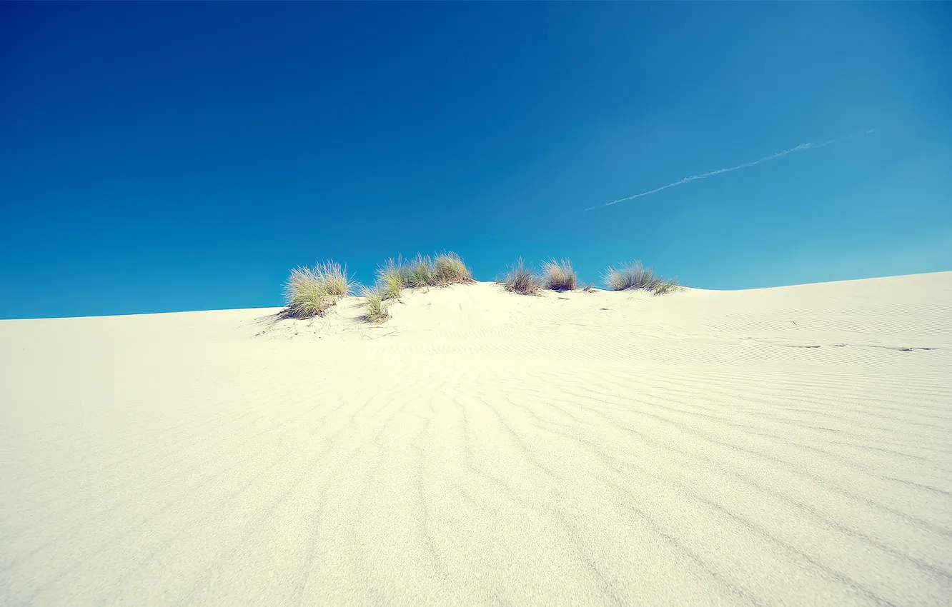 Photo wallpaper sand, the sky, grass, light, landscape, nature, desert, light