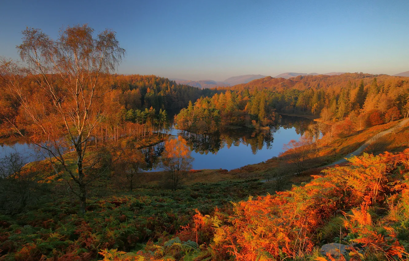 Photo wallpaper road, autumn, forest, light, trees, landscape, mountains, nature
