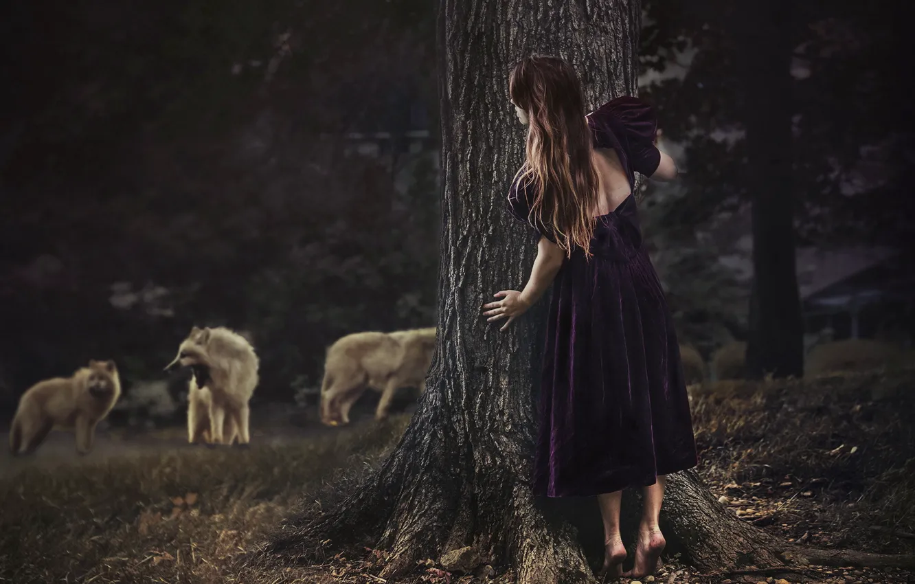 Photo wallpaper forest, girl, wolves