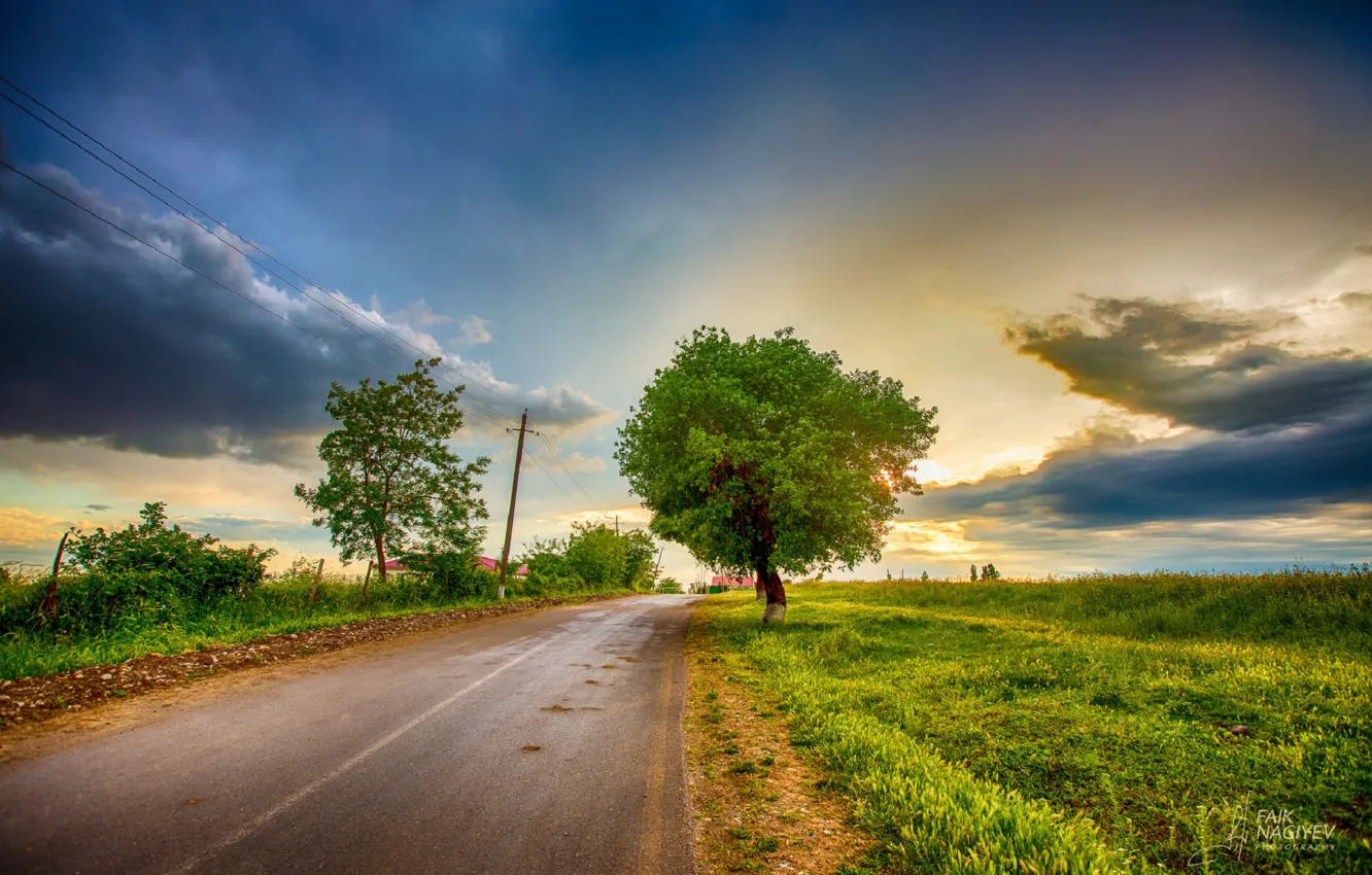 Photo wallpaper road, the sky, clouds, trees, Faik Nagiyev