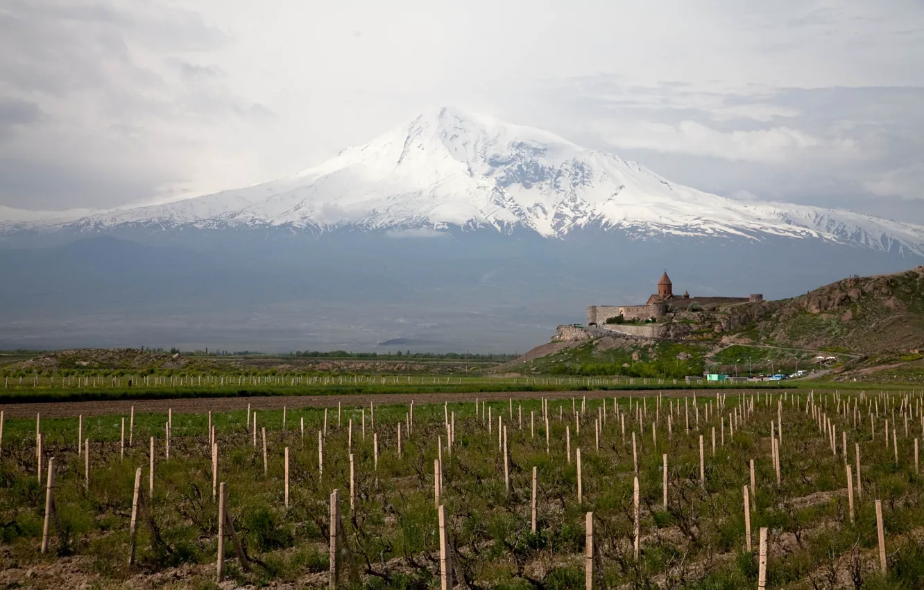 Photo wallpaper Mountain, Ararat, Great Ararat