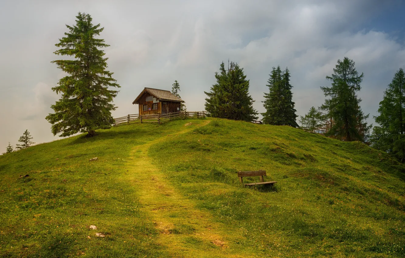 Photo wallpaper greens, summer, the sky, grass, clouds, trees, mountains, bench