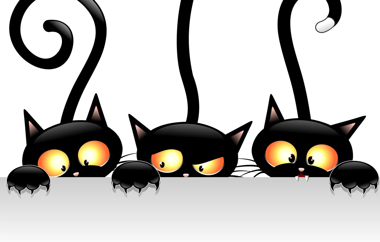 Photo wallpaper cats, vector, black, views, tails
