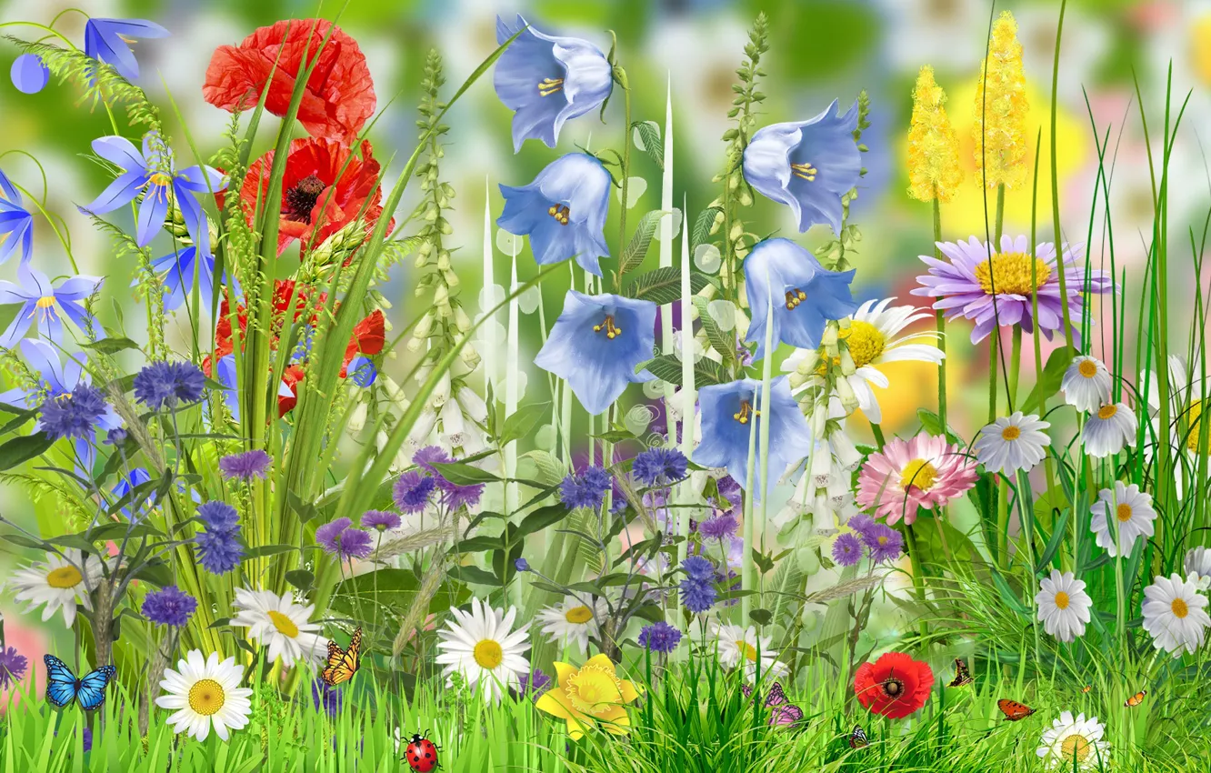 Photo wallpaper Graphics, Flowers